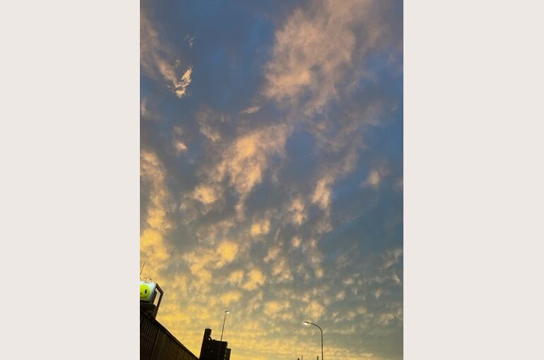image3 (002)